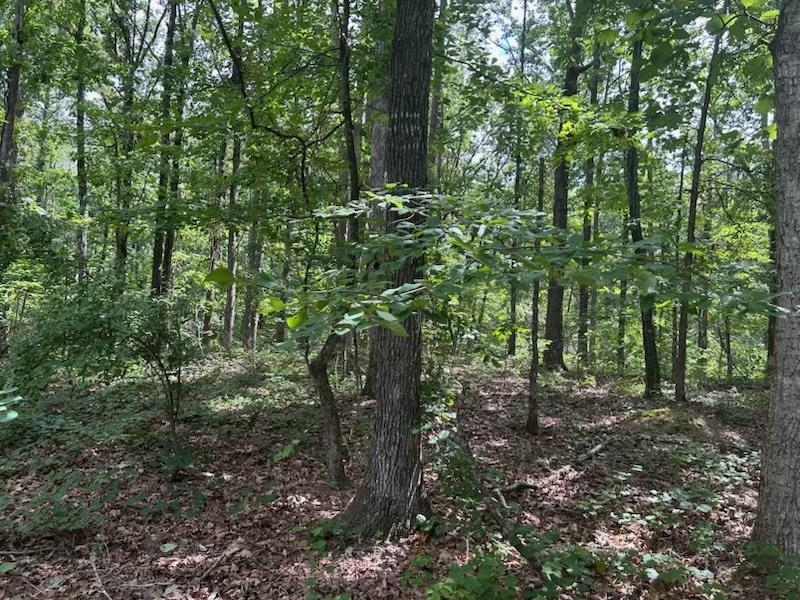 685 Chad Ln Property Photo 2