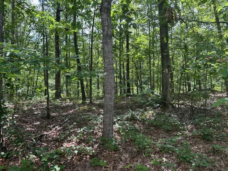 685 Chad Ln Property Photo 3