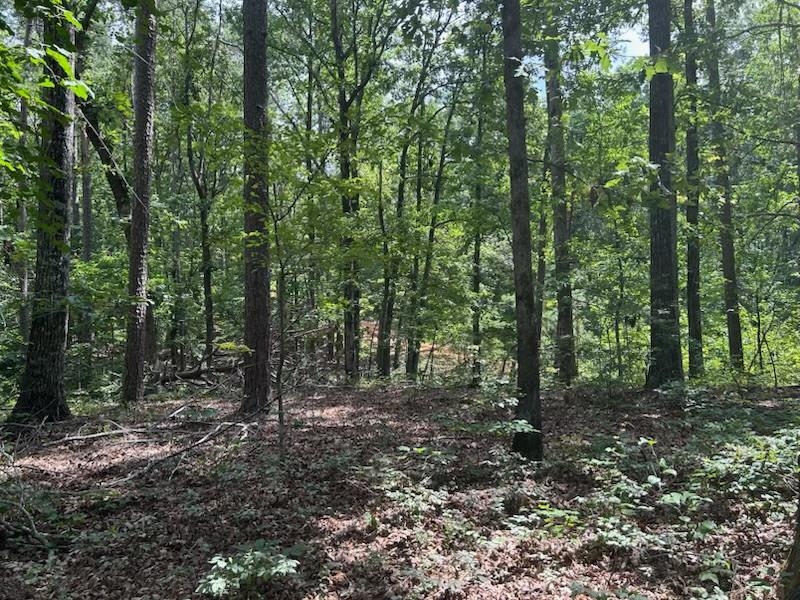685 Chad Ln Property Photo 4