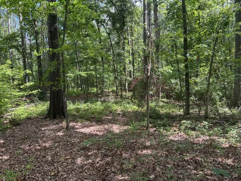 685 Chad Ln Property Photo 5