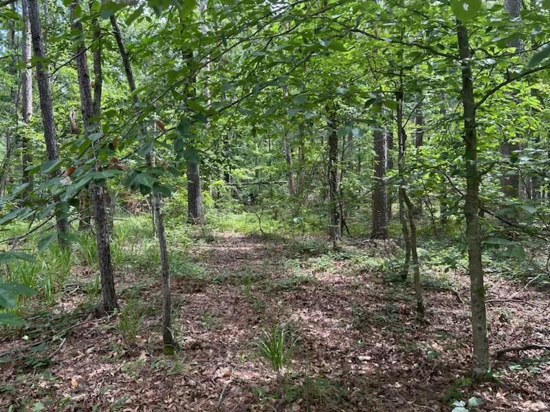 685 Chad Ln Property Photo 6