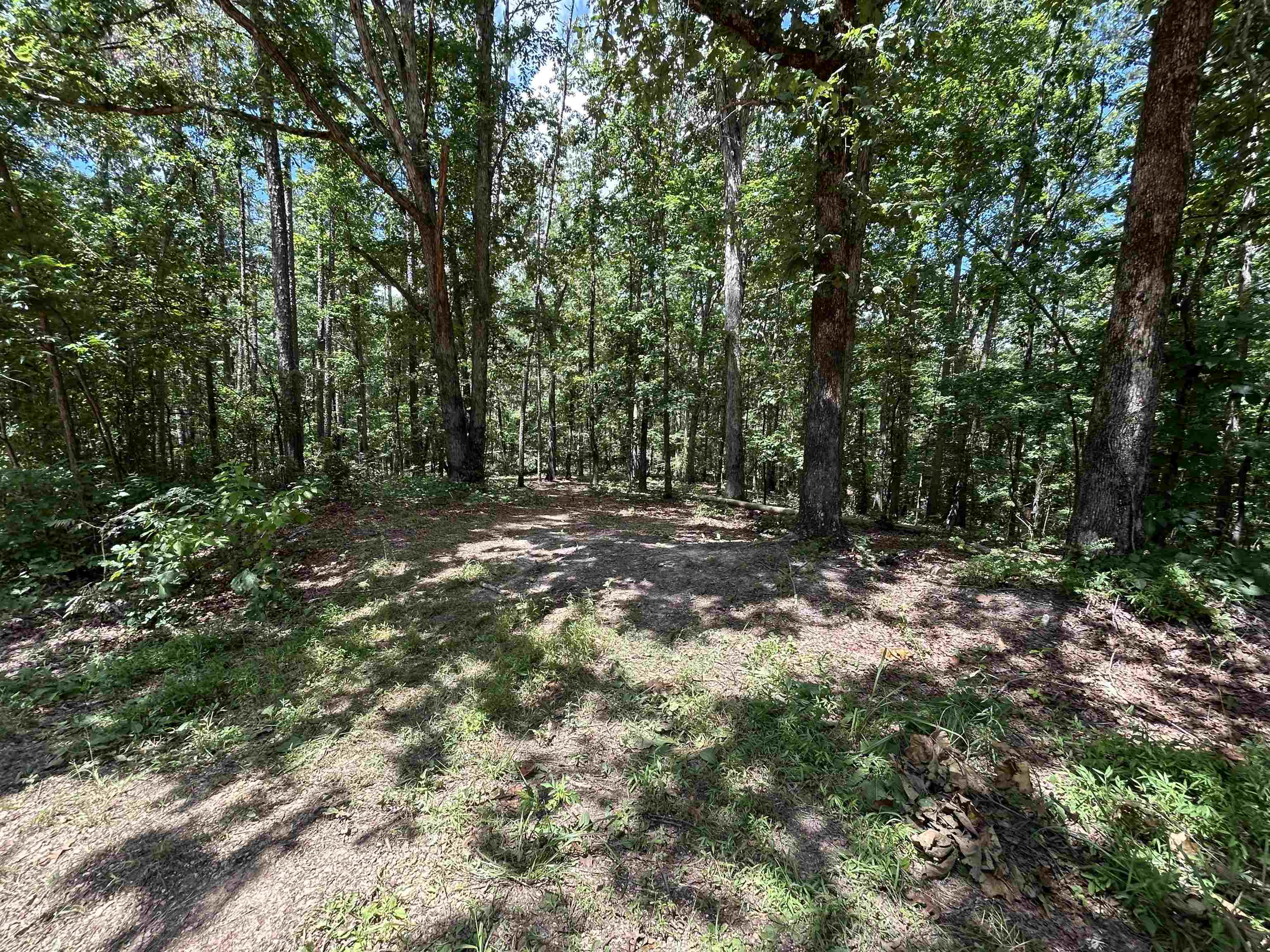 685 Chad Ln Property Photo 7