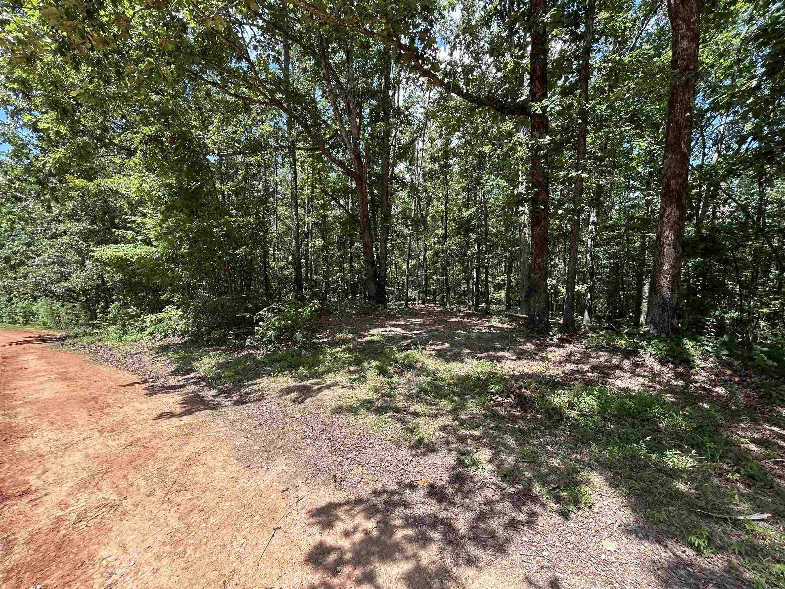 685 Chad Ln Property Photo 9