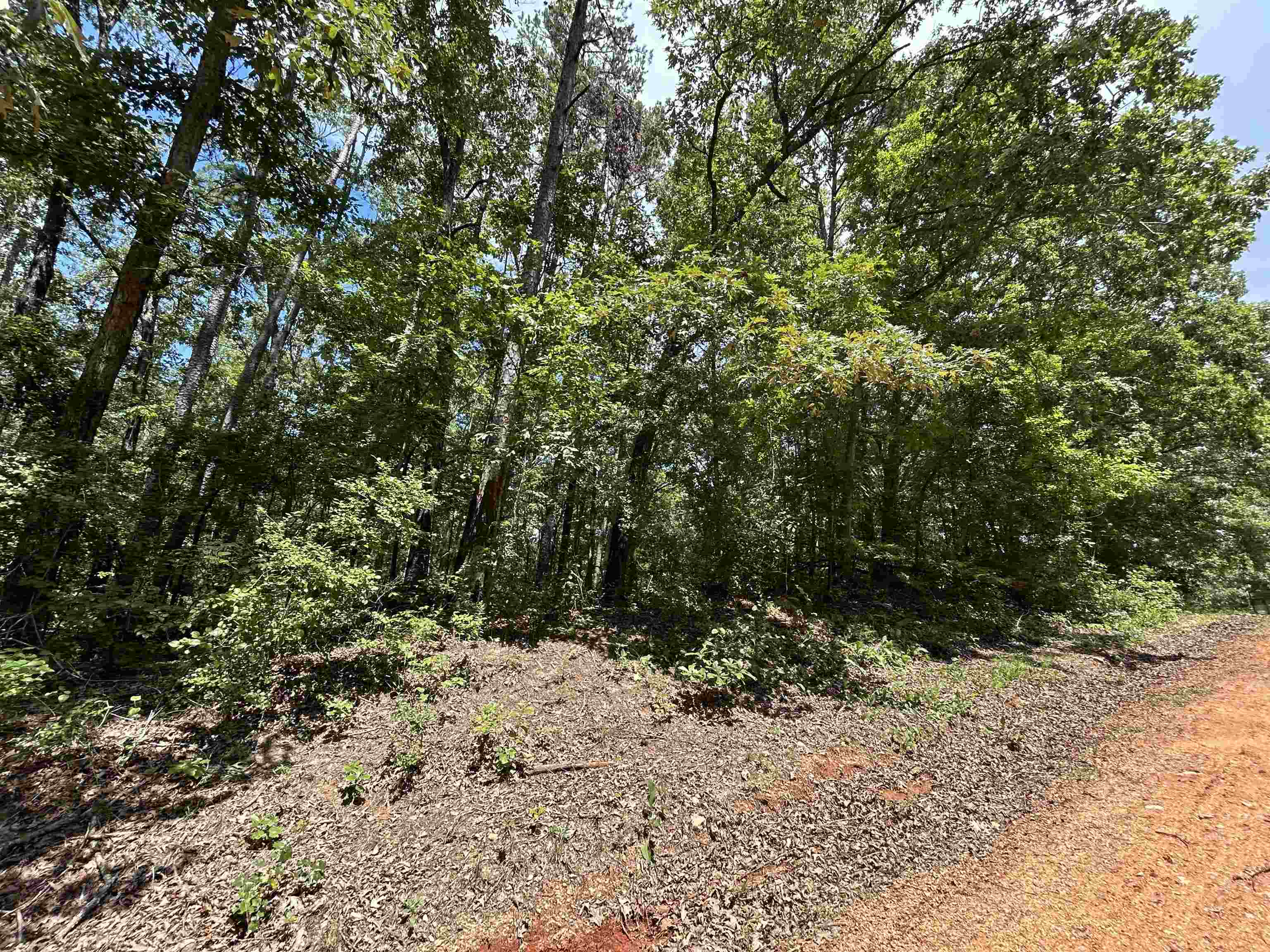 685 Chad Ln Property Photo 10