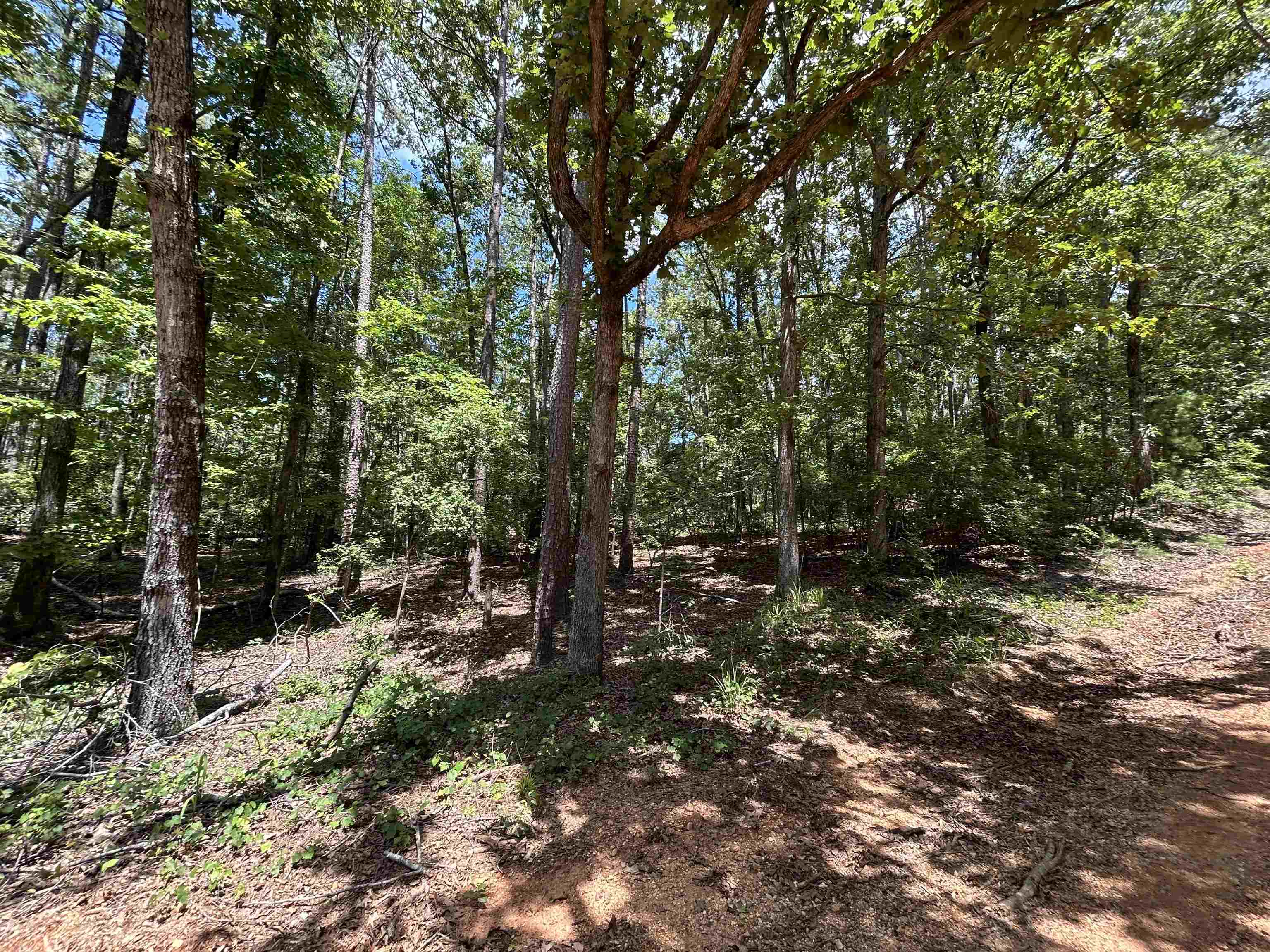 685 Chad Ln Property Photo 11