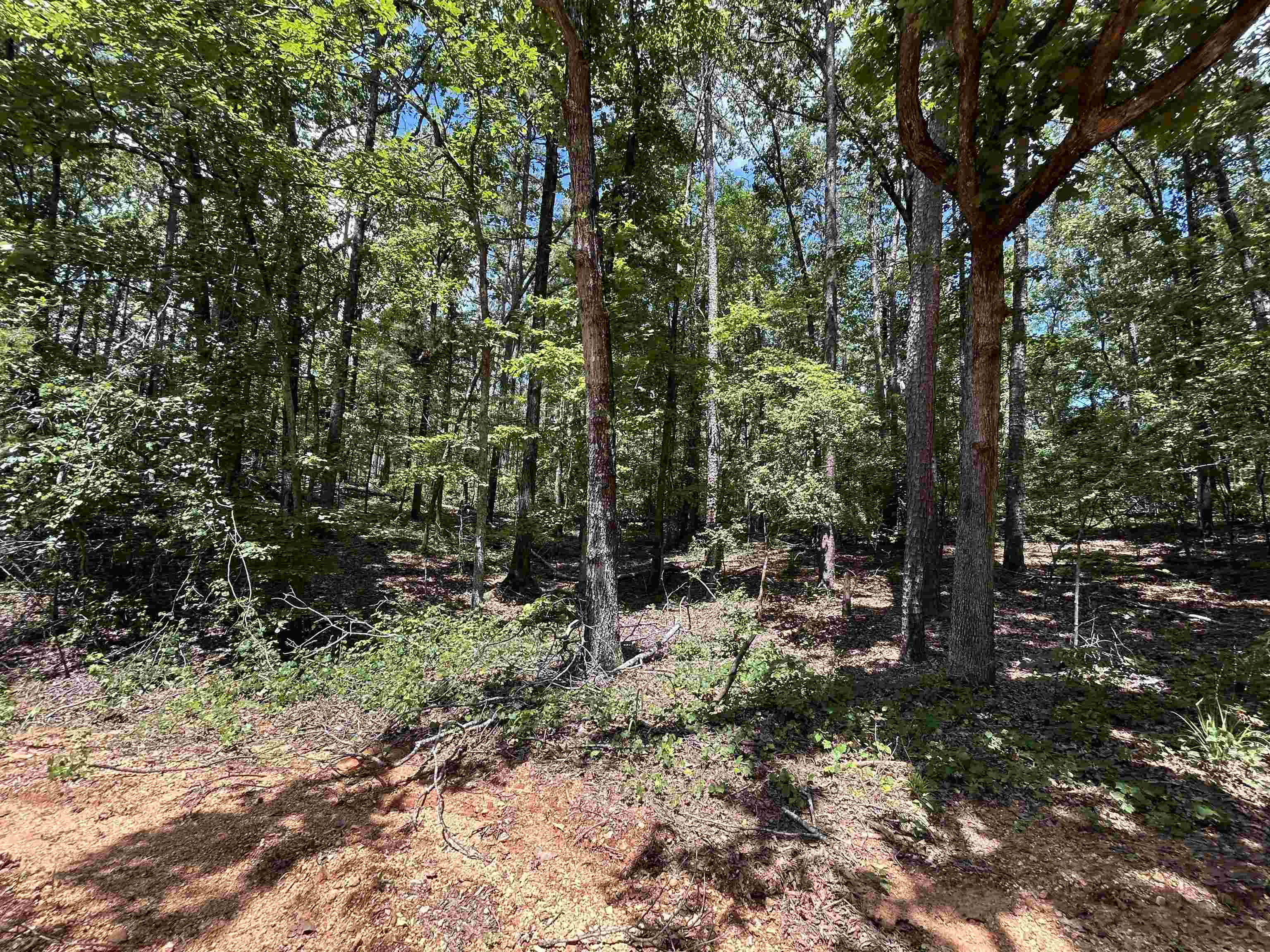 685 Chad Ln Property Photo 12