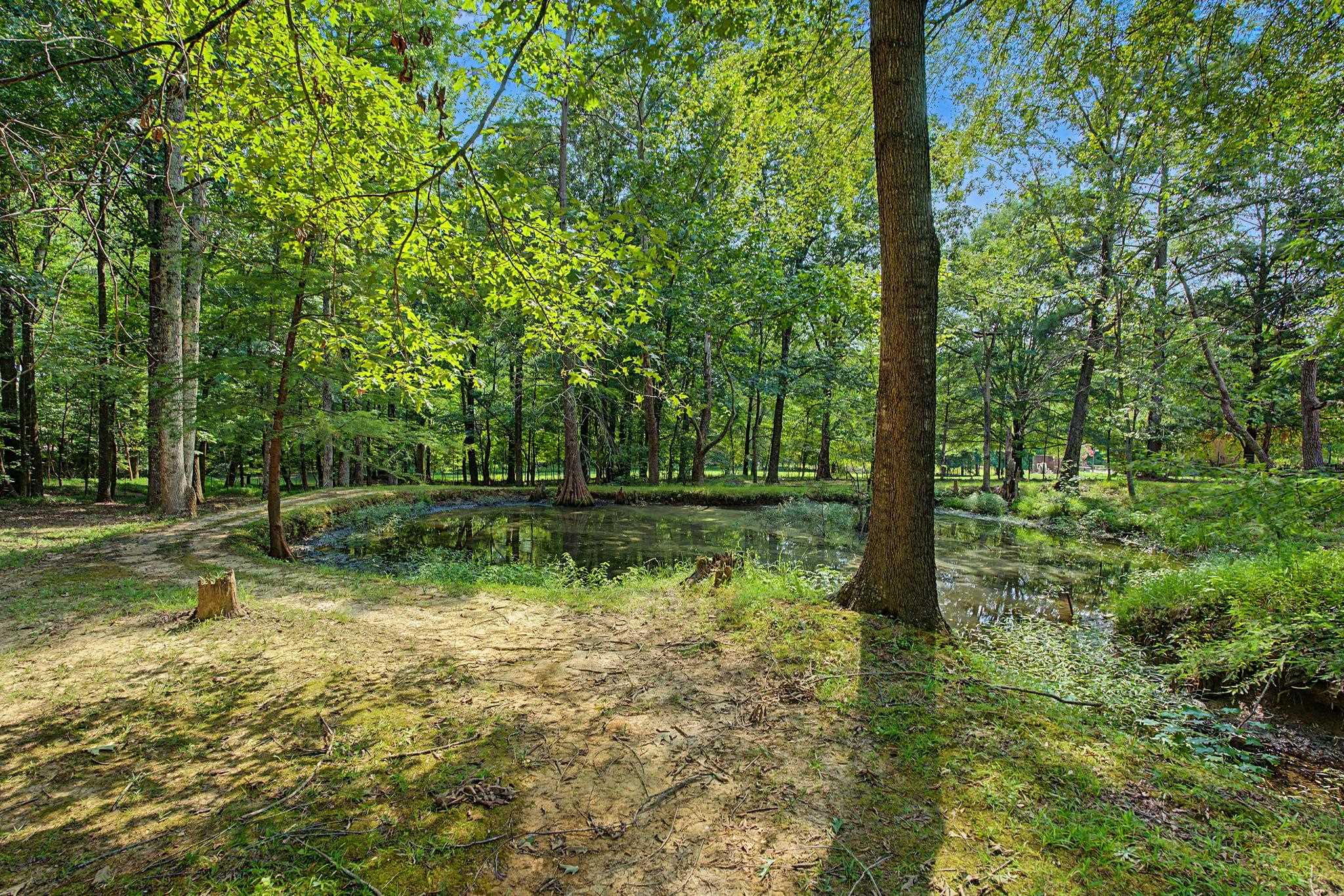 12985 Pine Crest Dr Property Photo 36