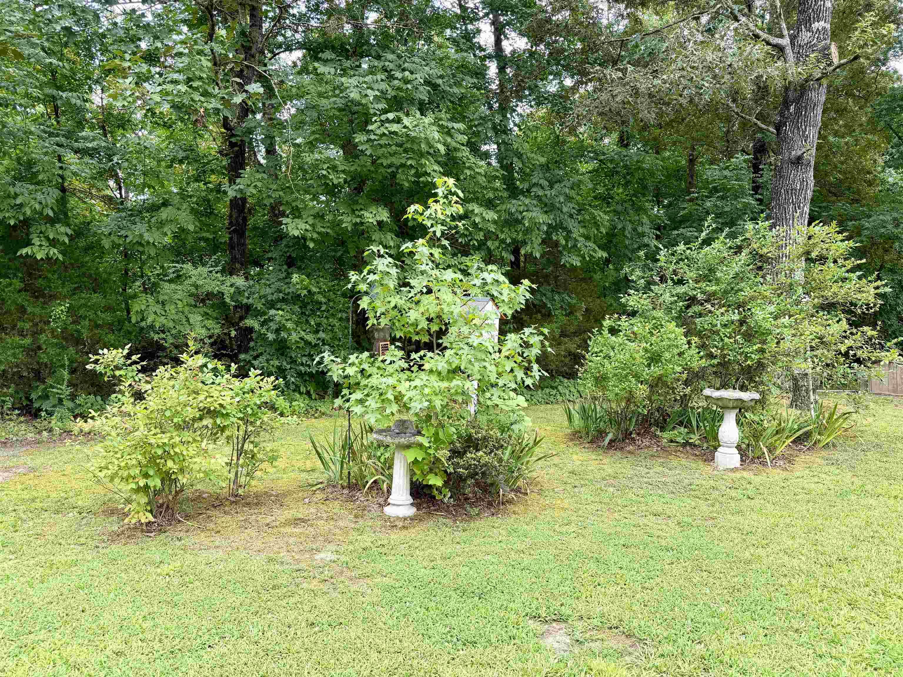 206 Burns Rd Property Photo 37