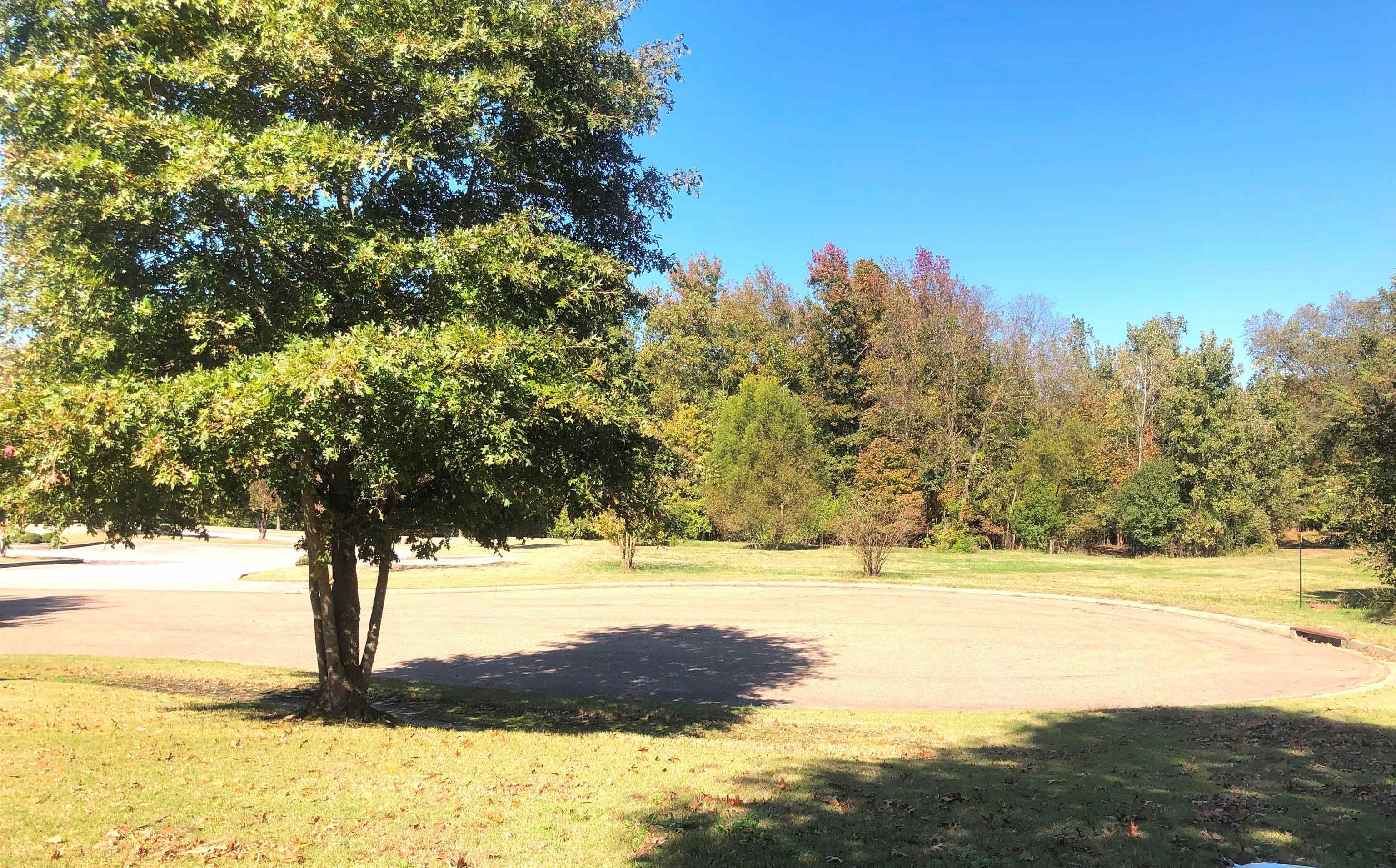 12138 Longleaf Oak Trl Property Photo 25