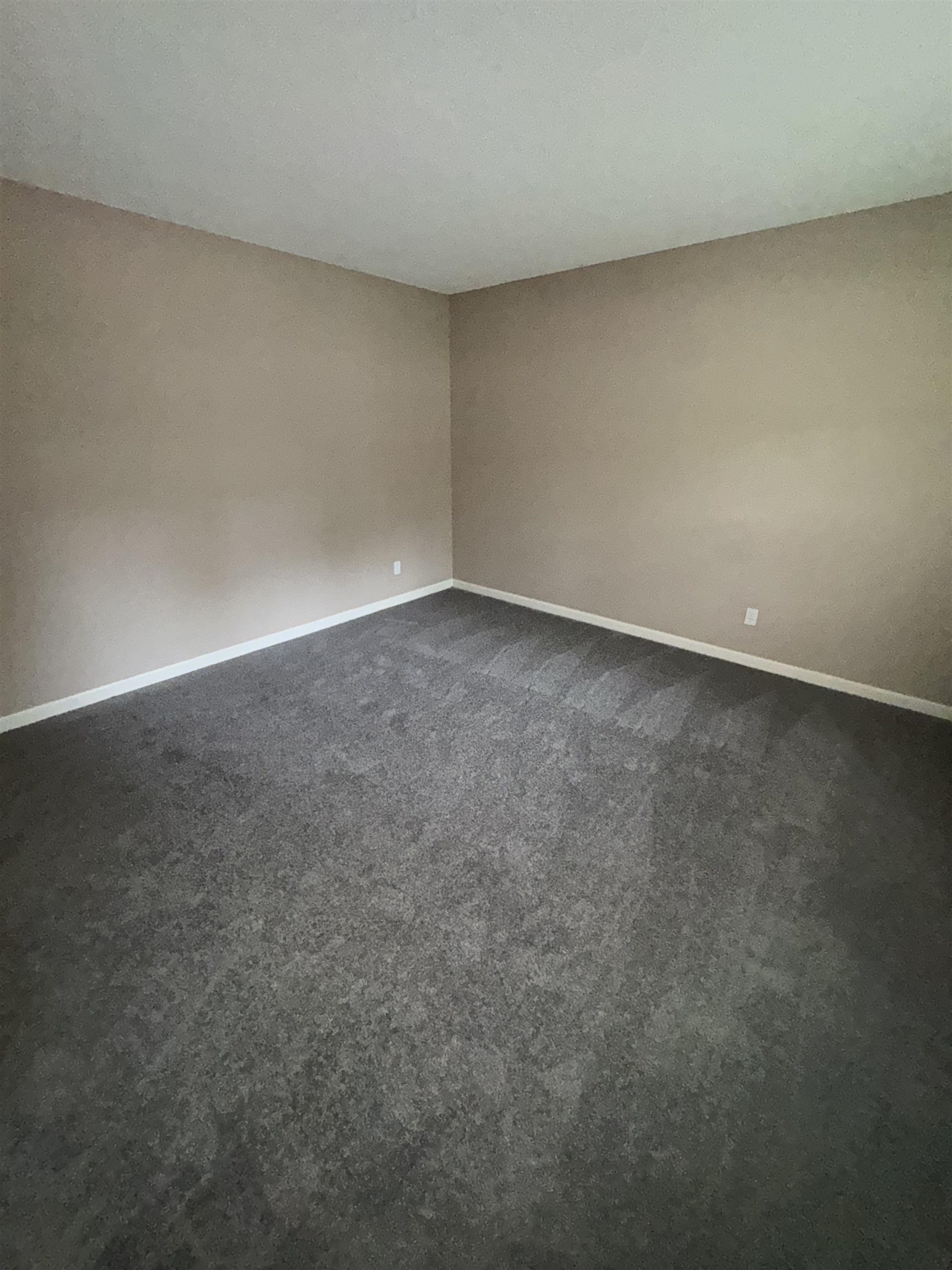 4017 Edenburg Dr Property Photo 12