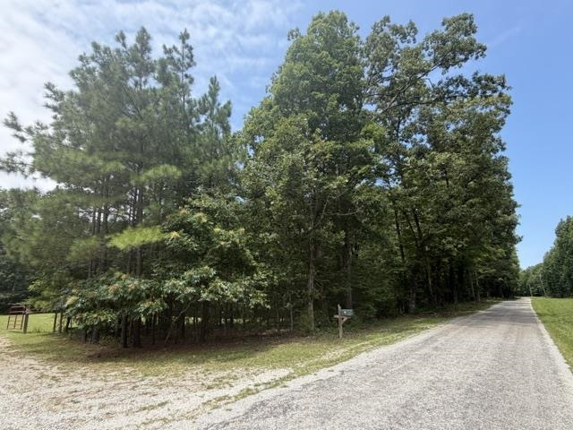 175 Duck Rd Property Photo 17