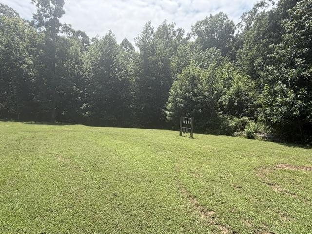 175 Duck Rd Property Photo 19
