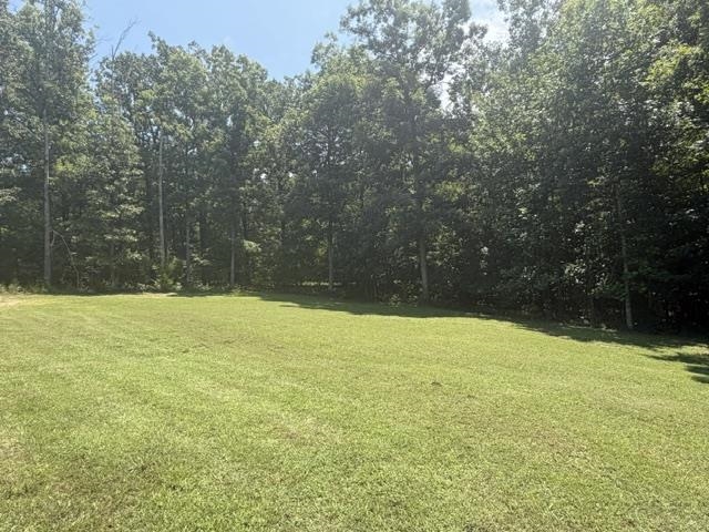 175 Duck Rd Property Photo 20