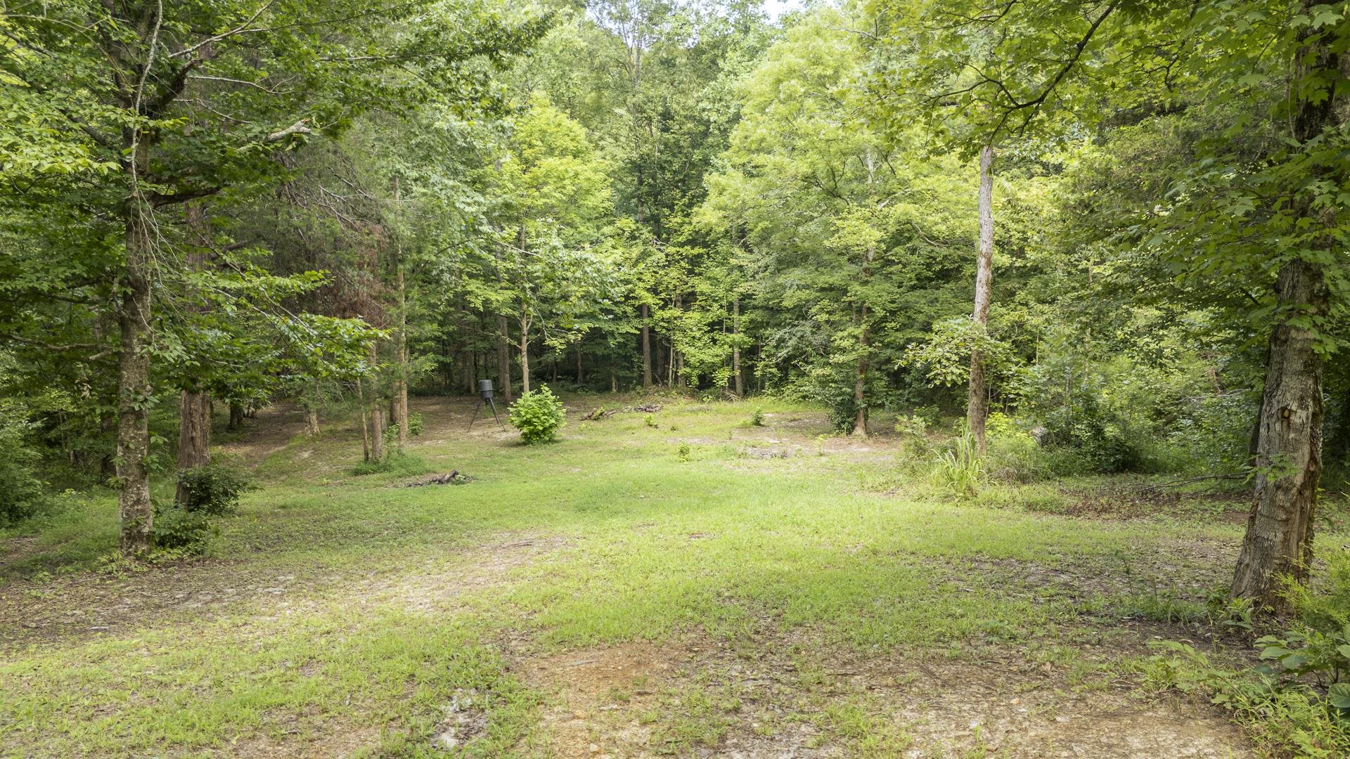 311 Dew Drop Rd Property Photo 30