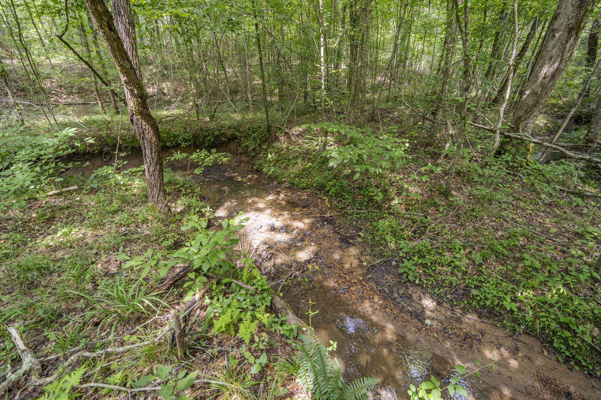 311 Dew Drop Rd Property Photo 32