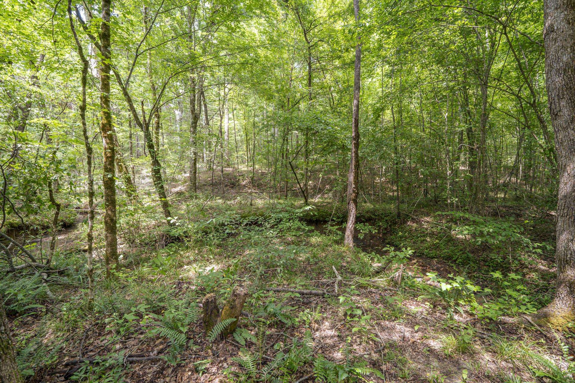 311 Dew Drop Rd Property Photo 34