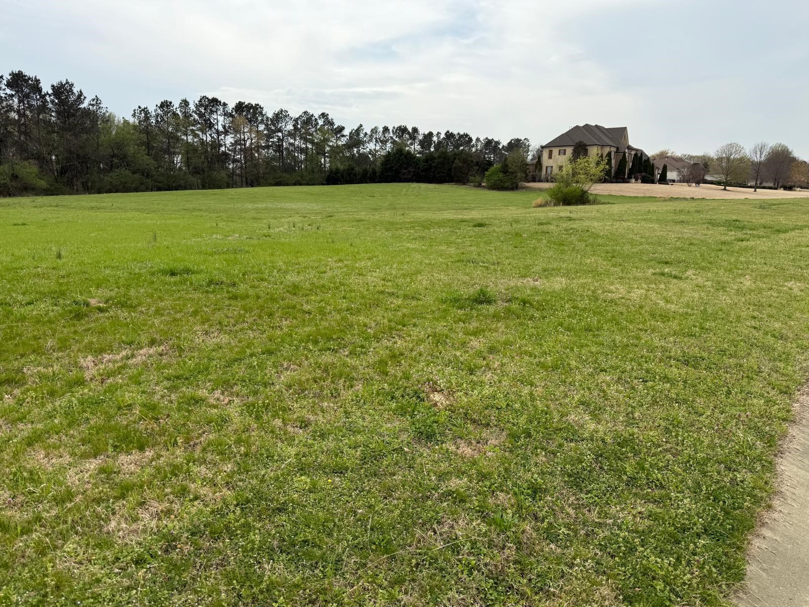 9943 Legends Dr Property Photo 1