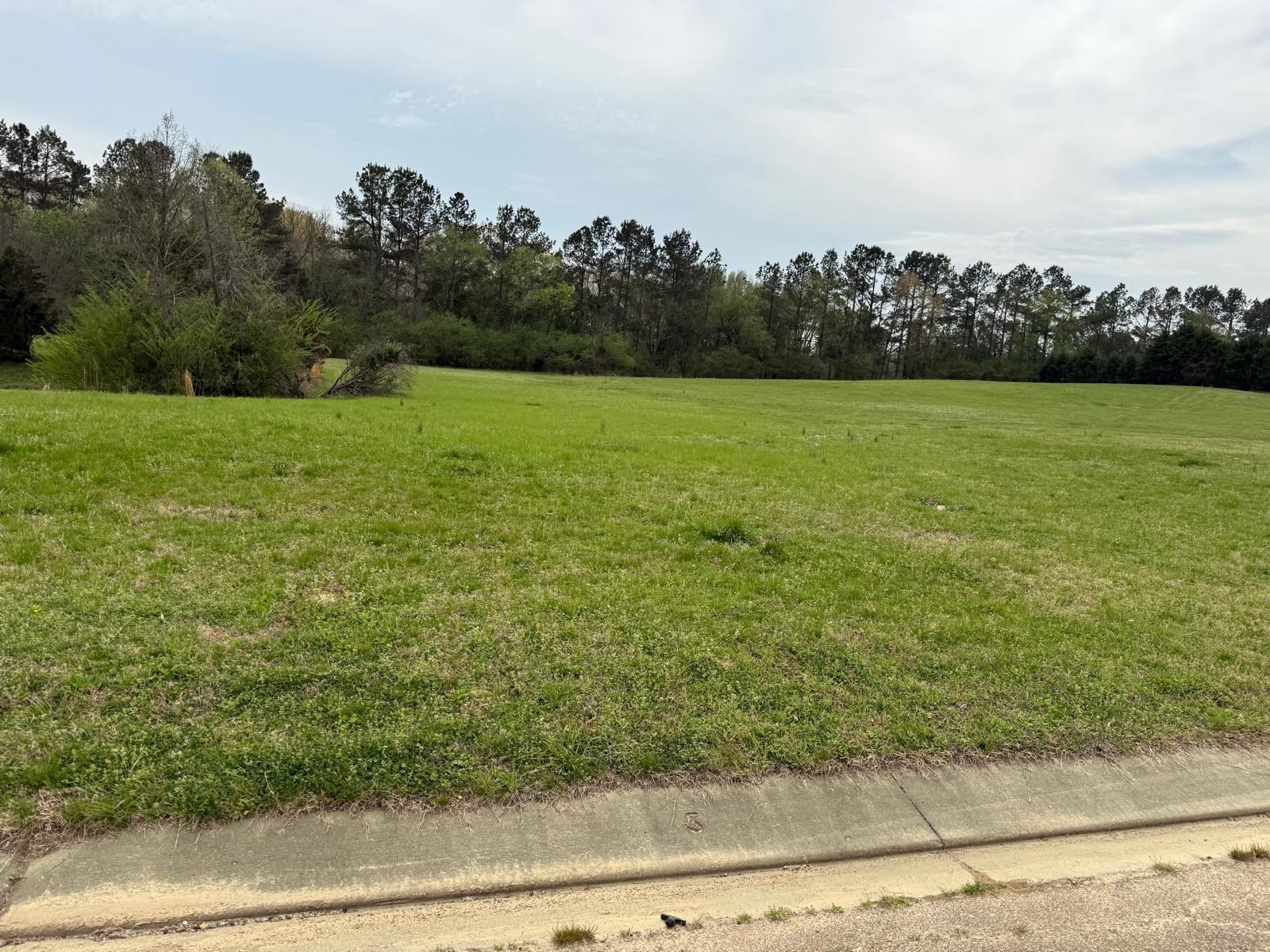 9943 Legends Dr Property Photo 2