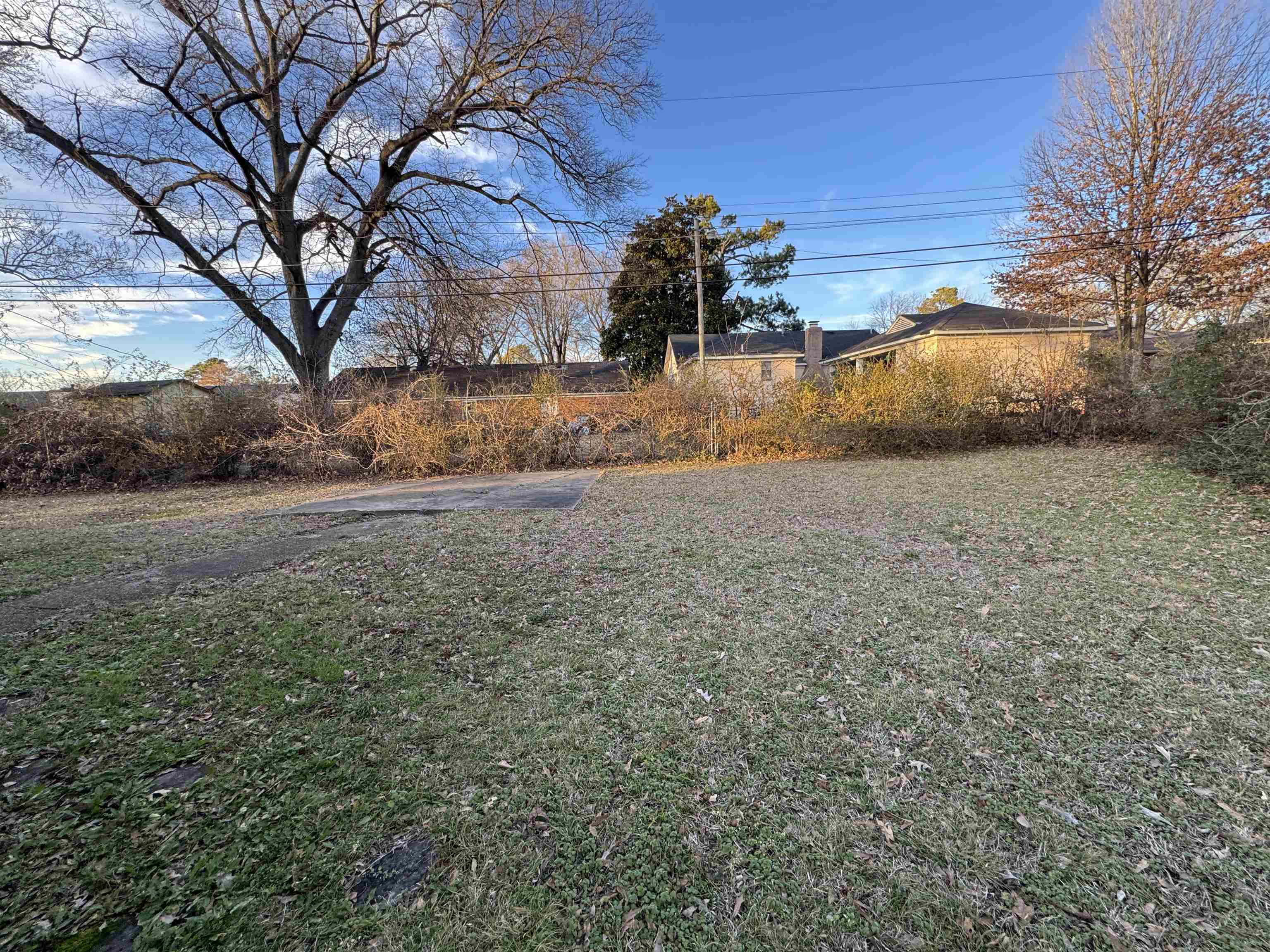 4474 St Honore Cv Property Photo 16