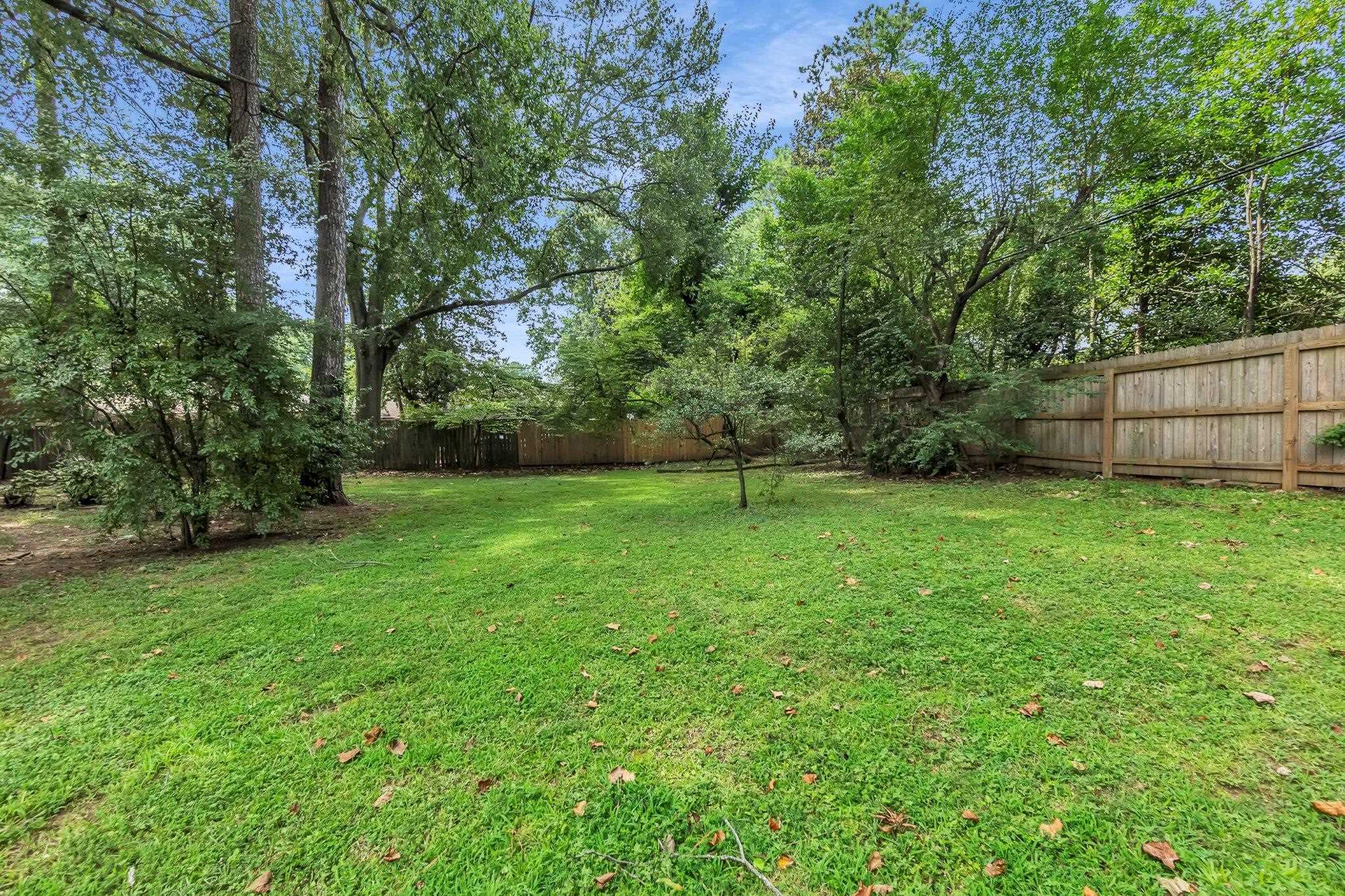 137 Perkins Ext Property Photo 32
