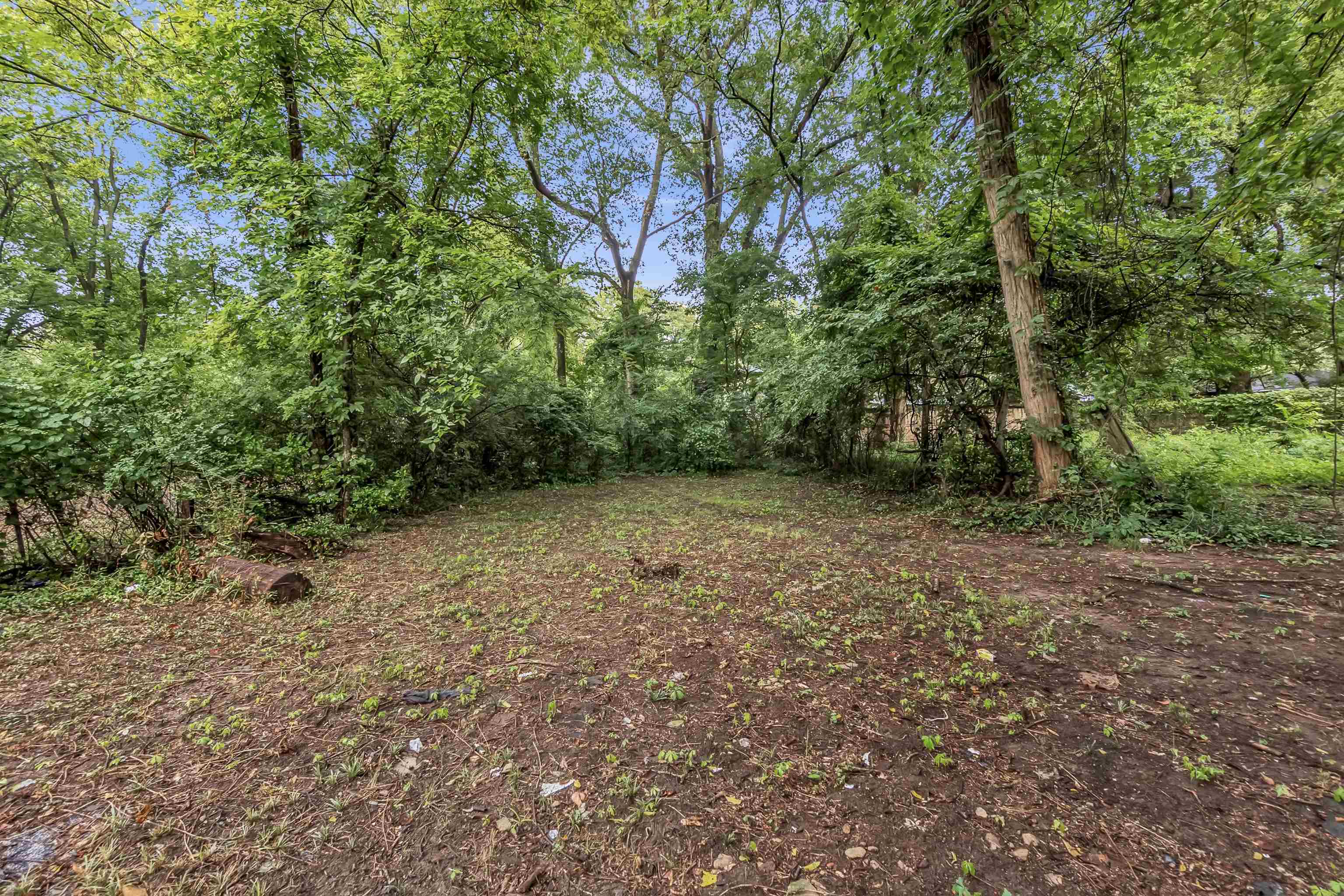 1594 Maplewood St Property Photo 12