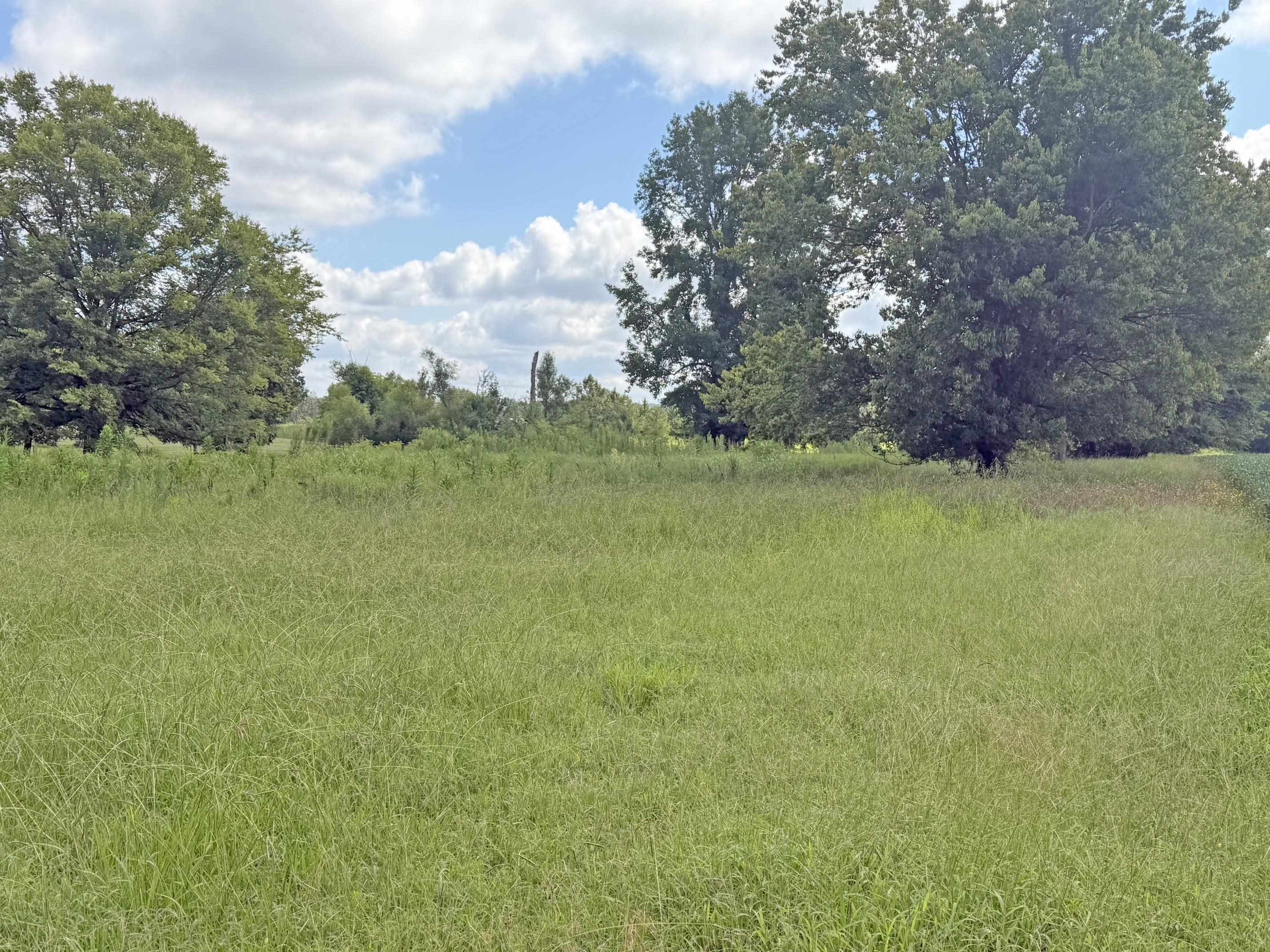 2900 Oak Grove Rd Property Photo 2