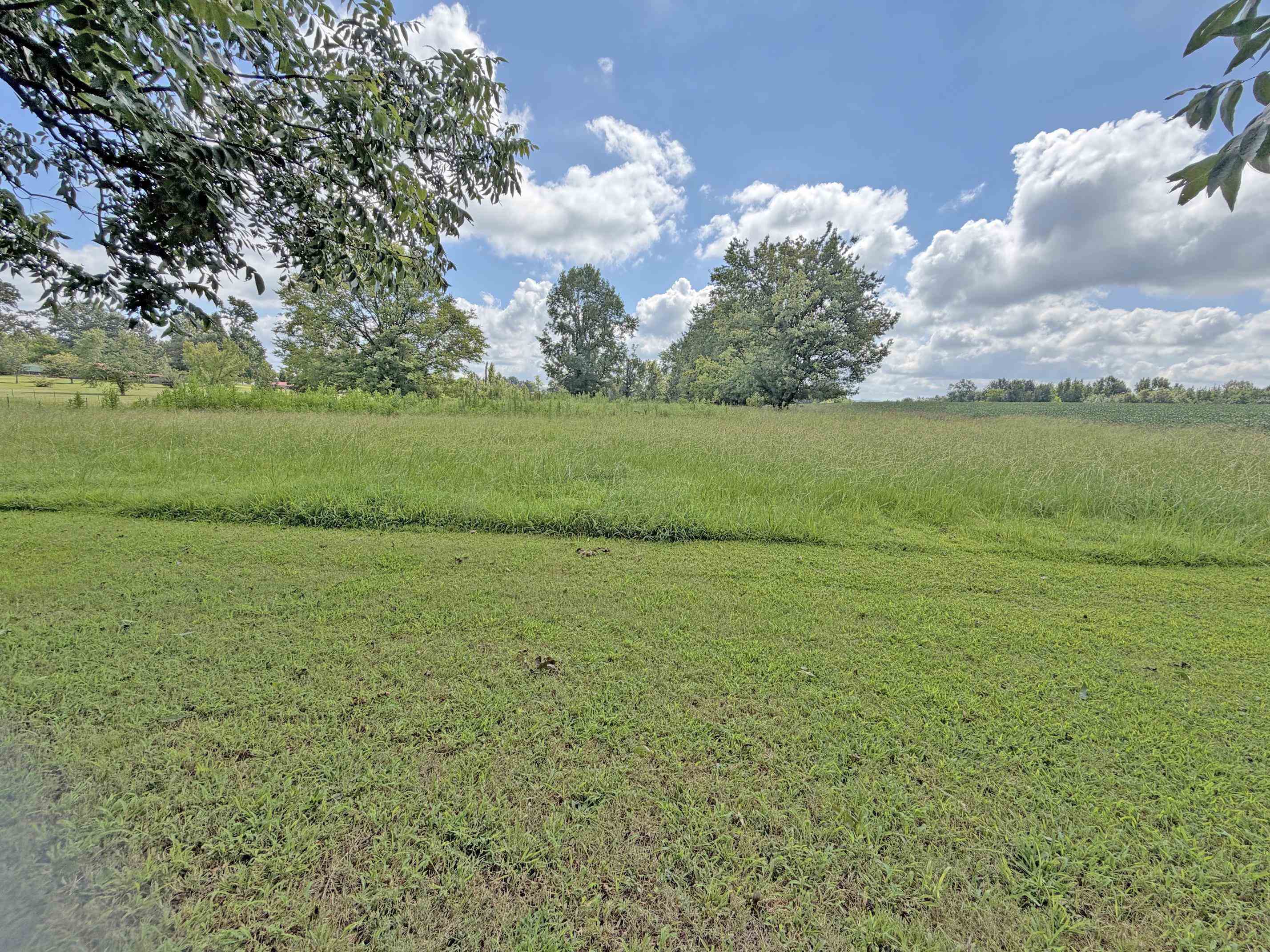 2900 Oak Grove Rd Property Photo 3