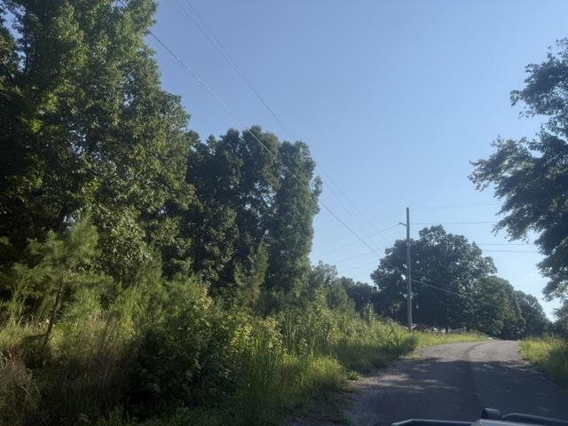 Tract 1 Belew Hollow Hill Rd Property Photo 2
