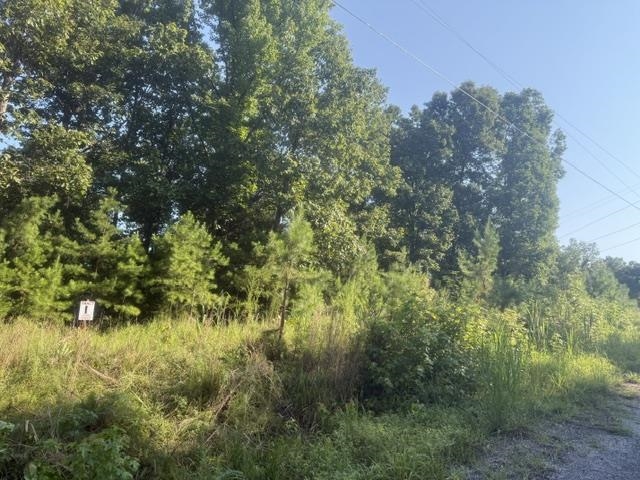 Tract 1 Belew Hollow Hill Rd Property Photo 3