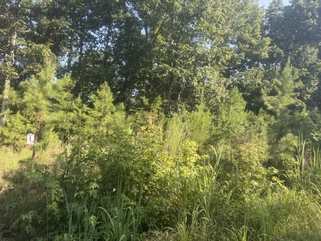 Tract 1 Belew Hollow Hill Rd Property Photo 4