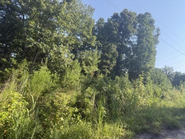 Tract 1 Belew Hollow Hill Rd Property Photo 5
