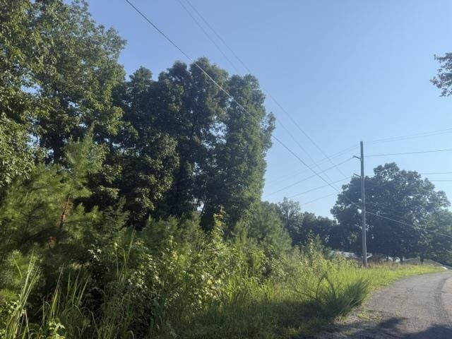 Tract 1 Belew Hollow Hill Rd Property Photo 6