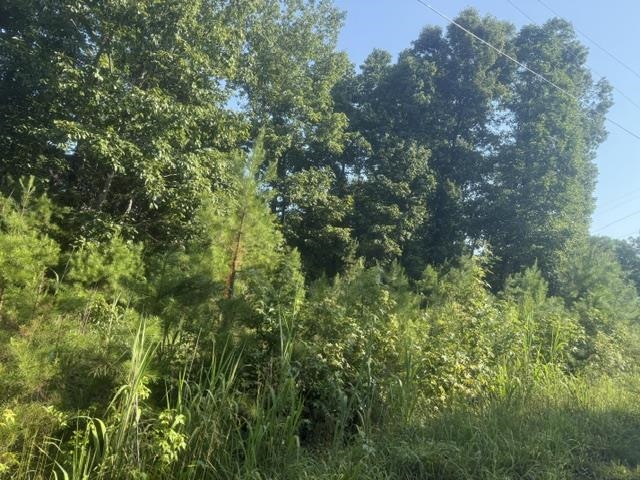 Tract 1 Belew Hollow Hill Rd Property Photo 7