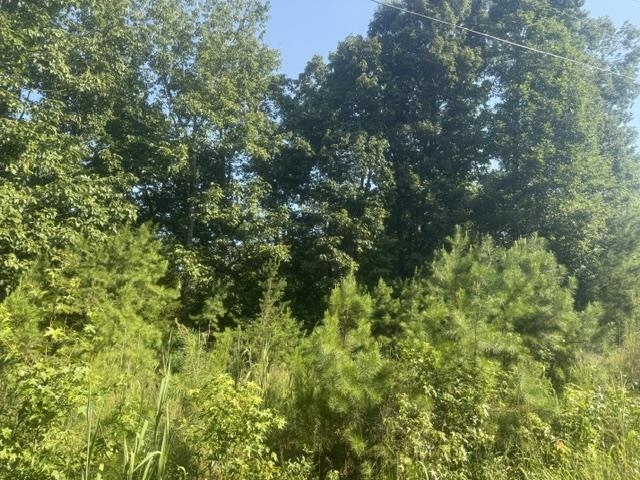 Tract 1 Belew Hollow Hill Rd Property Photo 8