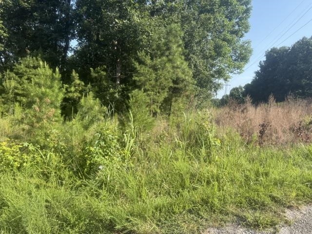 Tract 1 Belew Hollow Hill Rd Property Photo 10