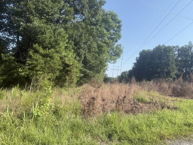 Tract 1 Belew Hollow Hill Rd Property Photo 11