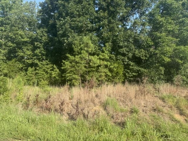 Tract 1 Belew Hollow Hill Rd Property Photo 14