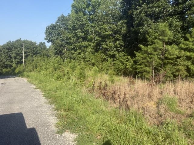 Tract 1 Belew Hollow Hill Rd Property Photo 15