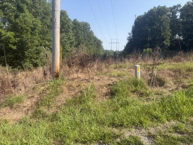 Tract 1 Belew Hollow Hill Rd Property Photo 16