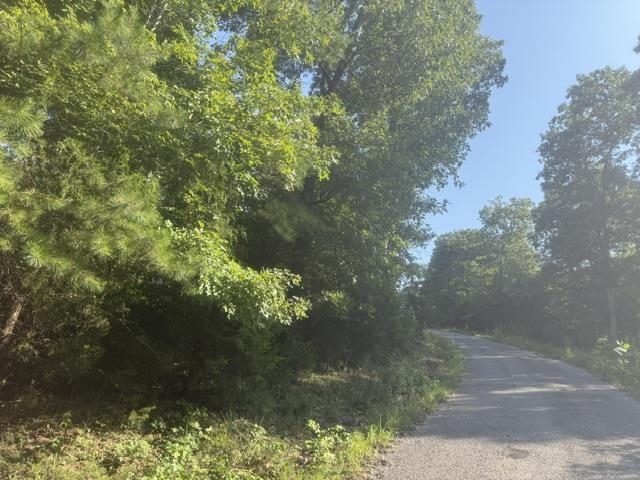 Tract 2 Belew Hollow Hill Rd Property Photo 1