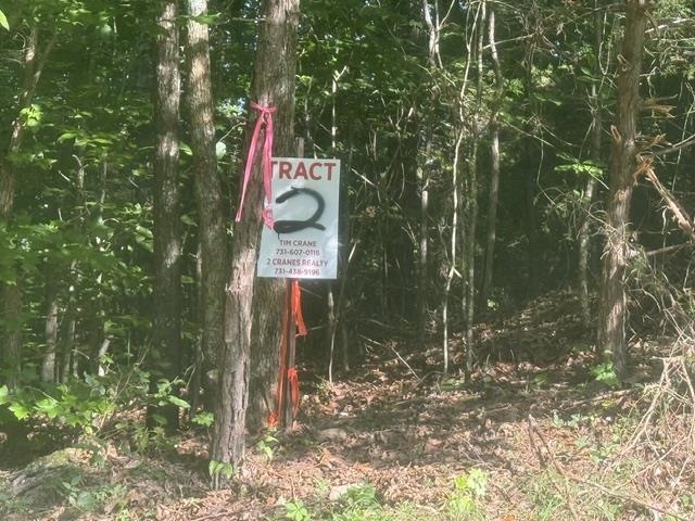 Tract 2 Belew Hollow Hill Rd Property Photo 2