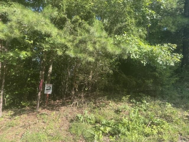Tract 2 Belew Hollow Hill Rd Property Photo 3