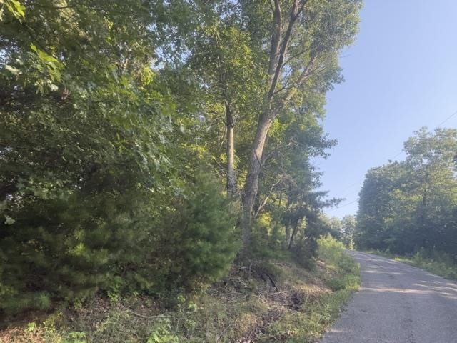 Tract 2 Belew Hollow Hill Rd Property Photo 4