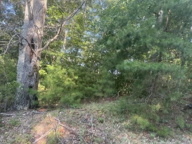 Tract 2 Belew Hollow Hill Rd Property Photo 5