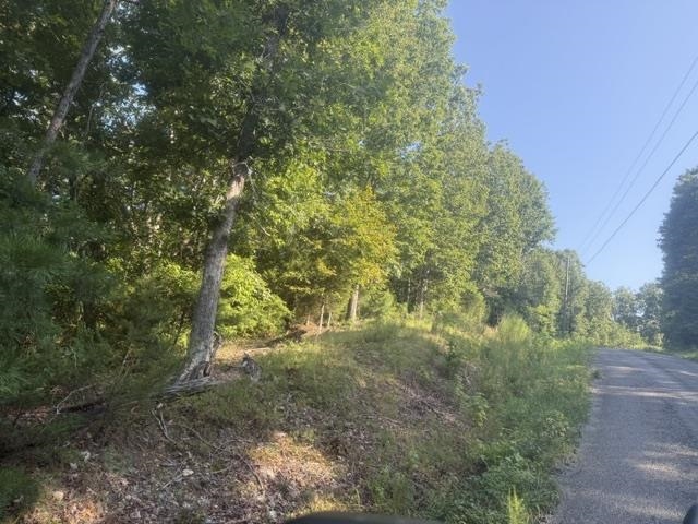 Tract 2 Belew Hollow Hill Rd Property Photo 6