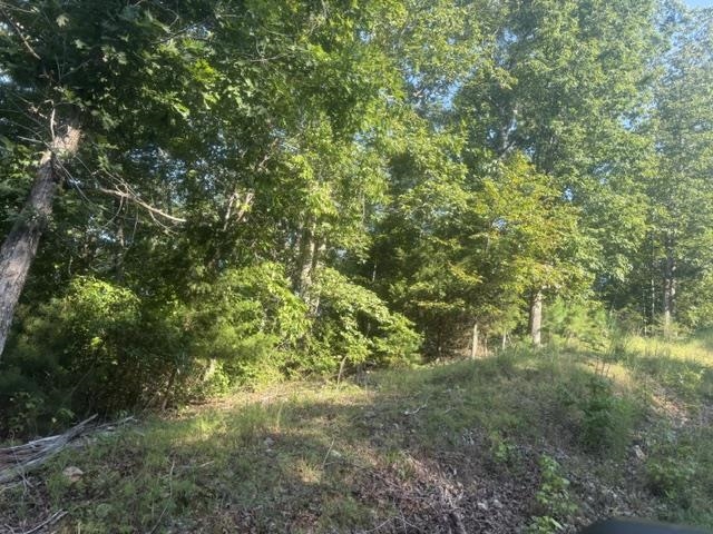 Tract 2 Belew Hollow Hill Rd Property Photo 7