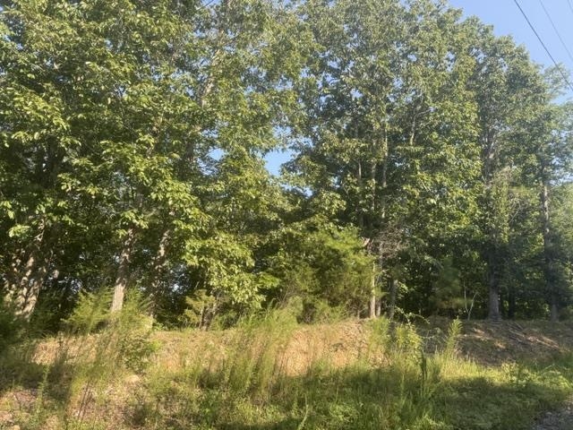 Tract 2 Belew Hollow Hill Rd Property Photo 8
