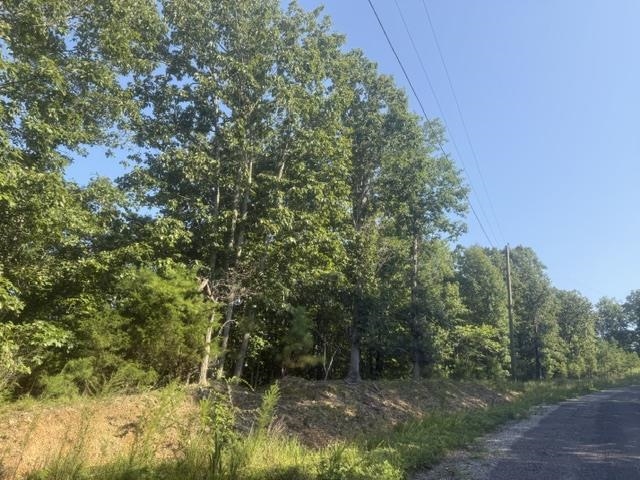 Tract 2 Belew Hollow Hill Rd Property Photo 9
