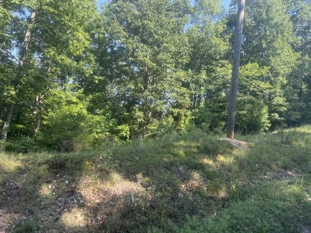 Tract 2 Belew Hollow Hill Rd Property Photo 10