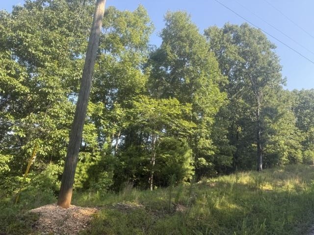 Tract 2 Belew Hollow Hill Rd Property Photo 11